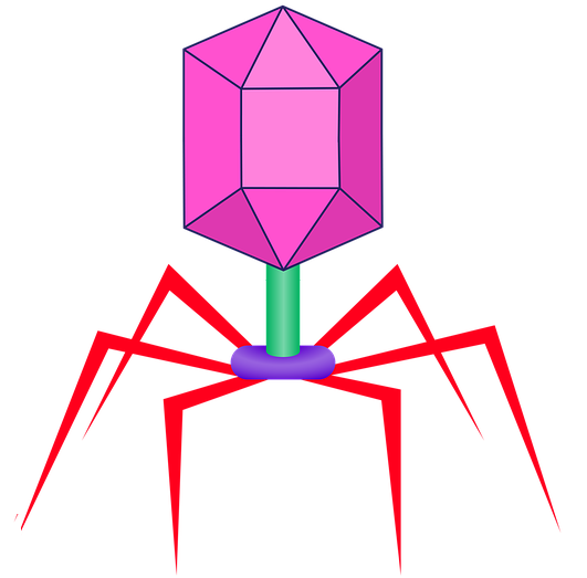 Infobites – AMR DetecTool